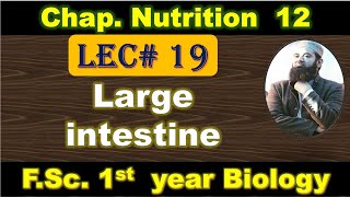 Large intestine I Chapter 12 I Nutrition I class 11 I First year I Lec  19 [upl. by Suicul]