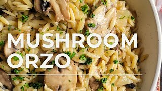 MUSHROOM ORZO  ORZO WITH MUSHROOMS RECIPE [upl. by Aihtebat]