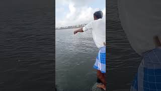 Catching the Most Expensive Barramundi Fish on the Long Bridge fishing fishingvideos seafishing [upl. by Ariaec]