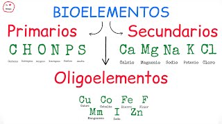 Bioelementos primarios secundarios y oligoelementos  BiologíayEcología [upl. by Anse]