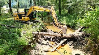 Beaver Dam Removal [upl. by Atiran521]