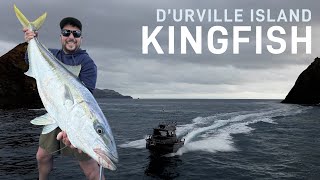 DURVILLE ISLAND KINGFISH [upl. by Valenba]