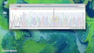 Chromatogram [upl. by Earazed346]