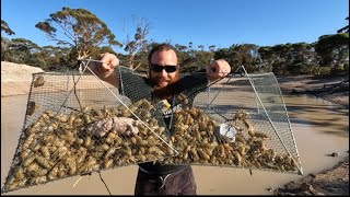 CATCH n COOK YABBIE hunt crawfish crawdad [upl. by Garrard]