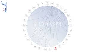 Explanation of the interdependency wheel amp minerals working in synergy  Totum Sport [upl. by Bethena]