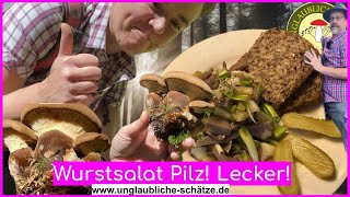 Wurstsalat Pilz Pilzsalat aus Samtfusskremplingen Eine leckere Versuchung Pilze im Juni 2024 [upl. by Prissie705]