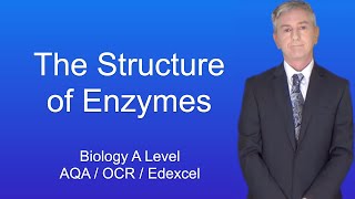 GCSE Biology  What are Enzymes [upl. by Ayikahs801]