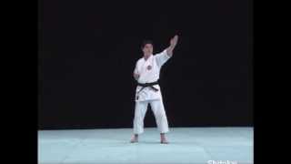 Kata Nipaipo Explanation Shitoryu Karate Do [upl. by Hakon]