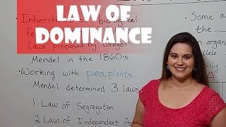 Mendels Law of Dominance [upl. by Jakob43]