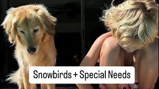 Snowbirds amp Special Needs [upl. by Aisiat242]