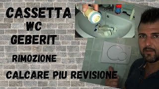 Cassetta incasso Geberit Samba smontaggio pulizia dal calcare e revisione [upl. by Ahsemrac745]