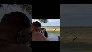 556 Long Range Accuracy Sig Sauger MCX Spear Lt vs 505Yard Challenge [upl. by Keyek]