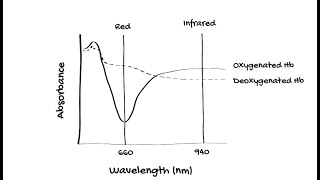 How does Pulse Oximetry work [upl. by Yuhas263]