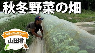 自然の力を生かせ！山田君 その５１ 秋冬向け野菜の畑 太陽熱処理で虫被害を抑える [upl. by Kieger]