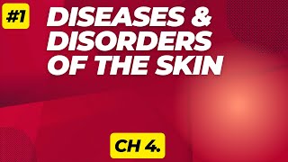 Diseases and Disorders Skin Theory 1 [upl. by Kerrin]