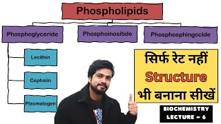 Phospholipids and its Types  Biochemistry Lecture in Hindi [upl. by Neened881]