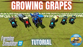 HOW TO GROW GRAPES  Farming Simulator 22 [upl. by Alue]