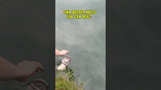 FALL BANK Fishing Tips  FISH For CATFISH shorts fishing catfish [upl. by Urson]