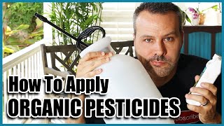 How to Use Organic Pesticides Neem Oil and BT [upl. by Giacinta73]