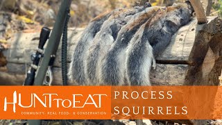 How to Process and Clean A Squirrel [upl. by Erait742]