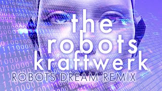 The Robots  Kraftwerk Robots Dream Remix [upl. by Ayamahs864]