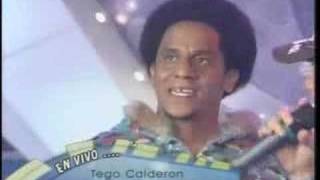 Habacilar  Tego Calderon en Vivo [upl. by Heidi]