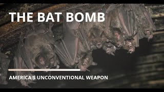 The Bat Bomb Americas Unconventional Weapon  WWII History [upl. by Zebedee334]