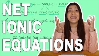 How to Write Complete Ionic Equations and Net Ionic Equations [upl. by Bamby]