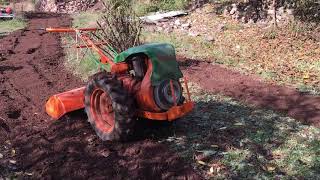 Pasquali MRE 12cv 1956 diesel Motocultivador arando rotovator motocoltivatore walking tractor [upl. by Arved]