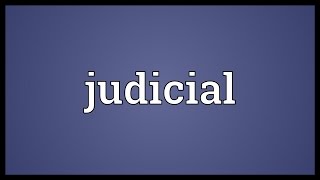 Judicial Meaning [upl. by Esadnac]