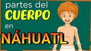 PARTES DEL CUERPO EN NÁHUATL [upl. by Convery682]