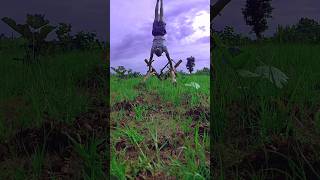 handstand push up with natureshorts villagelife calisthenics bodyweightexercise [upl. by Allenrad792]