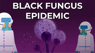 What is Black Fungus or Mucormycosis [upl. by Eednil732]