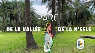 PARC DE LA VALEE DE LA NSELE CONGO  vlog [upl. by Kannav931]