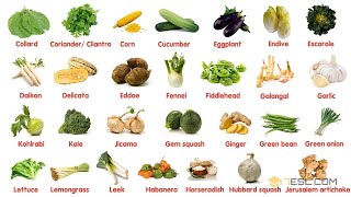 100 Most Popular Vegetables in The World  Learn Names of Different Types of Vegetables in English [upl. by Charlotta679]