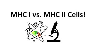 MHCI vs MHCII cells explained [upl. by Eejan]