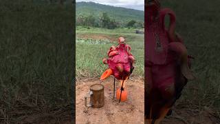 Survival Skills steam bad water in Dragon fruit camping outdoors bushcraft useful [upl. by Neyr]