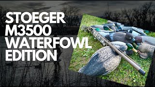 Stoeger M3500 Waterfowl Edition REVIEW UNBOXINGINITIAL REACTION [upl. by Raimundo]