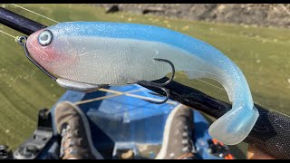 BIG Soft Plastic SwimBait  Pour to Catch [upl. by Elisabeth122]