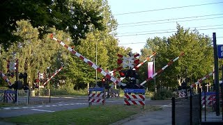 Spoorwegovergang Rosmalen  Dutch railroad crossing [upl. by Mulligan]