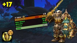 17 Mists of Tirna Scithe  Prot Paladin PoV  The War Within WOW [upl. by Aremihc]