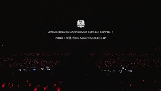 2019 SHINHWA CONCERT CHAPTER4  INTRO  해결사The Solver STAGE CLIP [upl. by Llerreg]