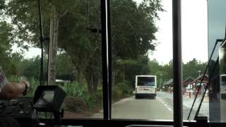 Bus Ride from Disneys Wilderness Lodge to Animal Kingdom  Walt Disney World [upl. by Haizek]