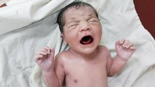 Beautiful new born baby first cry after birth babiesvideosnewbornfirstcry [upl. by Ahsikar]