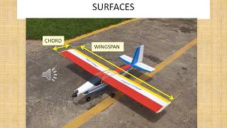 HOW TO SIZE THE WING and other lifting surfaces [upl. by Cosenza]