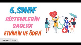 6Sınıf Sistemlerin Sağlığı Etkinliği Cevap Anahtarı  fensepetimcom [upl. by Yromem847]