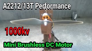 Performance Mini Brushless Dc Motor A221213T 1000kv [upl. by Royd]