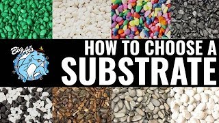 How to Choose an Aquarium Substrate  BigAlsPetscom [upl. by Aneri755]