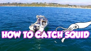 Beginners Guide Squid Fishing Tips Catching Find Tutorial Jig How TO [upl. by Behl]