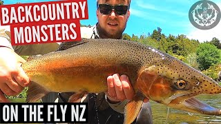 Fly Fishing New Zealands BIGGEST Backcountry Trout  North Island [upl. by Hartzel]